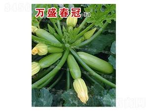 �fʢ����-�����J�N��-�˶��fʢ