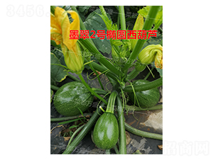 ī��2̖-�����J�N��-�˶��fʢ