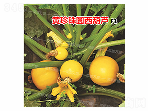 �S����-�����J�N��-�˶��fʢ