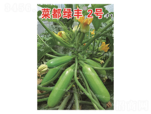 �˶��G�S2̖-�����J�N��-�˶��fʢ