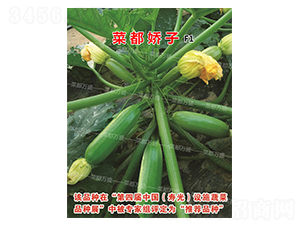 �˶�����-�����J�N��-�˶��fʢ