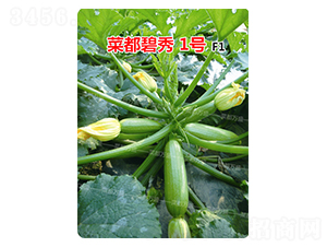 �˶�����1̖-�����J�N��-�˶��fʢ