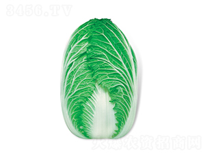 ��g-��ײ˷N��-���A�N�I