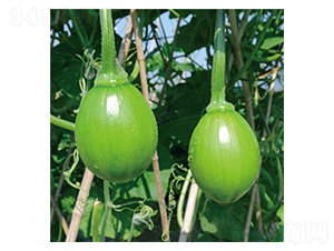 ��������-�����J�N��-��Ļ��