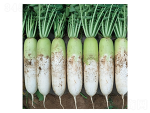 ��Ļ��592-�}���N��-��Ļ��