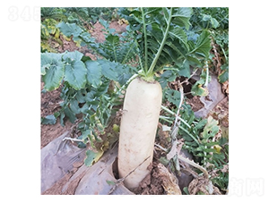 Ļ��������̖-�}���N��-��Ļ��