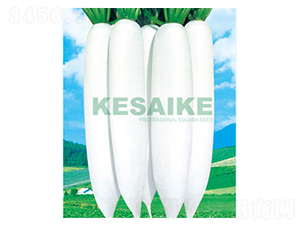 ��ѩ��-�}���N��-�wِ�w