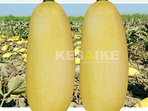 �r(n��ng)�l(f��)��̖-�����J�N��-�wِ�w