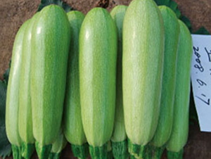 ���-�����J�N��-�wِ�w