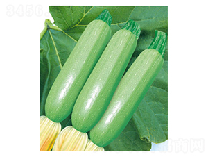 �P����̖-�����J�N��-�wِ�w