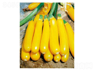 �S�㽶F1-�����J�N��-�wِ�w