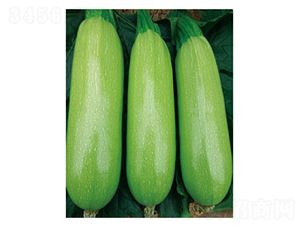 ����-�����J�N��-�wِ�w