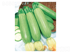 �P����̖-�����J�N��-�wِ�w