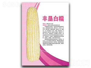 �S����Ŵ-Ŵ���׷N��-�S���N�I