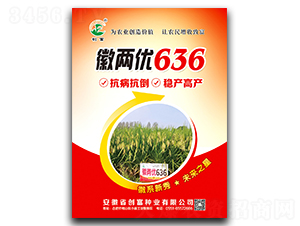 �ՃɃ�636-ˮ���N��-�����N�I