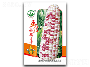 ���Ų�Ŵ8̖-Ŵ���׷N��-�|���r�I