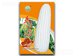 ����Ŵ3000-Ŵ���׷N��-�|���r�I