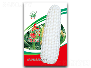 ����Ŵ2000-Ŵ���׷N��-�|���r�I