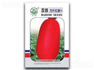 �f��t-�}���N��-�|���r�I