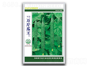 �f�����-�S�ϷN��-�|���r�I