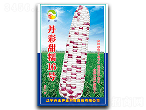 ������Ŵ16̖-Ŵ���׷N��-����N�I