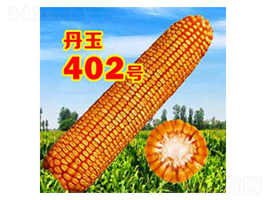 ����402̖-���׷N��-����N�I