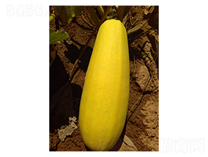 �N�������J1̖-�����J�N��-�N�ǷN�I