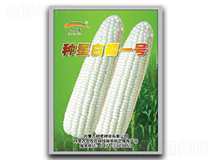 �N�ǰ�Ŵ1̖-Ŵ���׷N��-�N�ǷN�I