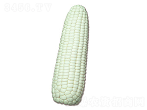 �N�ǰ�Ŵ2̖-Ŵ���׷N��-�N�ǷN�I