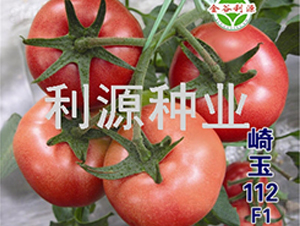 崎玉112-番茄種子-利源種業