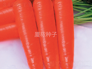 ����t-���}���N��-�B���r�I