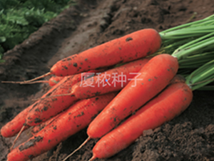 �鸣918-���}���N��-�B���r�I