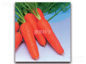 �鸣518-���}���N��-�B���r�I