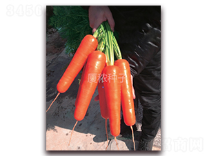 ��d898-���}���N��-�B���r�I