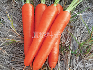 ���167-���}���N��-�B���r�I