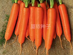 혼t�ߴ�-���}���N��-�B���r�I