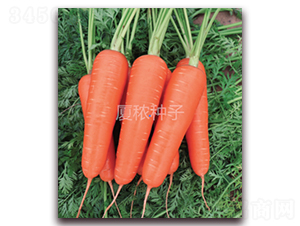 혺�-���}���N��-�B���r�I