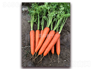 �B�t�ߴ�-���}���N��-�B���r�I