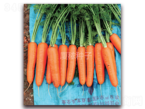 �S�tһ̖-���}���N��-�B���r�I(y��)