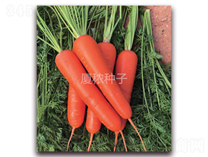 ������909-���}���N��-�B���r�I