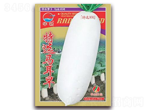 ���x�R����-���}���N��-�A�r�N�I