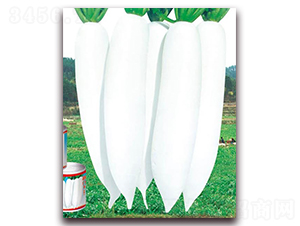 �°����}��-���}���N��-�A�r�N�I