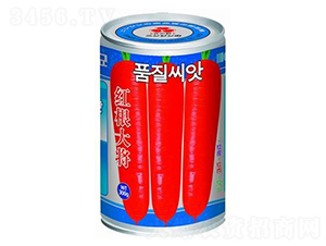 �t����-���}���N��-�A�r�N�I