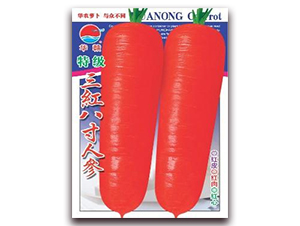 �ؼ����t�˴煢-���}���N��-�A�r�N�I