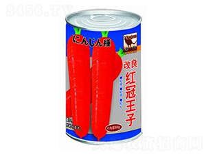 �����t������-���}���N��-�A�r�N�I