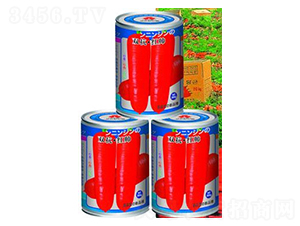 �p�����t��-���}���N��-�A�r�N�I