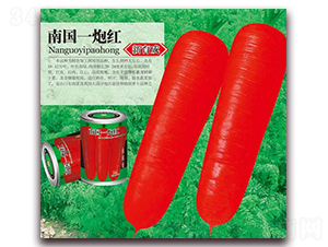 �χ�һ�ڼt-���}���N��-�A�r�N�I