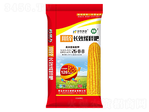 �L(zh��ng)Ч��ጷ���26-8-8-���r(n��ng)�|��