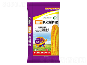 �L(zh��ng)Ч��ጷ�26-8-8-���r(n��ng)�|��