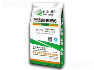 ���B©�L(zh��ng)Ч��ጷ�26-10-12-������-���r(n��ng)�|��